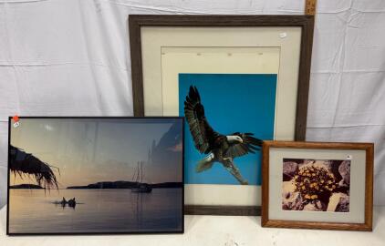 Framed Bald Eagle Print 30x36, Lake Canoe Photo 20x30, Wildflower Art 16x20 &ndash; Set of 3
