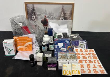 Mixed Lot: mDesign Bin, Santa Wall Art, Skincare, Supplements, Pet Sprays, Banner, Decor Items