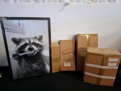 Framed Raccoon Brushing Teeth Print, 20"x14", Black & White Art, Black Frame, Acrylic Front, fairy desk statue, false petunia's planter, photo storage box. 2 shelf set