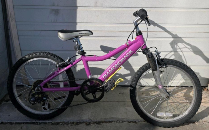 Diamondback Octane 20 Kids' Mountain Bike, 20" Wheels, 6-Speed, Front Suspension, Pink