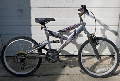 NEXT MAKO DS20 20" Youth Full Suspension Mountain Bike, 6-Speed, Chrome Finish