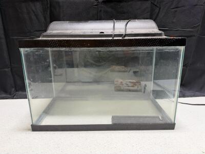 10-Gallon Glass Aquarium with Hood and Built-in Fluorescent Light