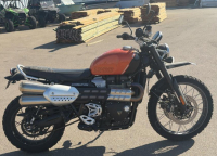 2024 TRIUMPH SCRAMBLE - 1200CC! - 2