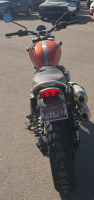 2024 TRIUMPH SCRAMBLE - 1200CC! - 4