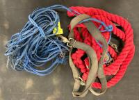 Assorted Equestrian Tack Lot: Saddle Pads, Girth, Halter, Ropes, Leg Wraps, Feed Bin - 5