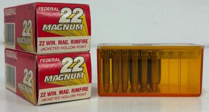 Federal & CCI .22 WMR (22 Magnum) Rimfire, 40gr JHP, Approx. 131 Rounds, Brass Case