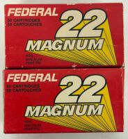 Federal & CCI .22 WMR (22 Magnum) Rimfire, 40gr JHP, Approx. 131 Rounds, Brass Case - 2