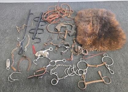 Vintage Horse Tack Lot &ndash; Bits, Spurs, Sheepskin Pad, Leather Reins, Horse Head Wall Rack