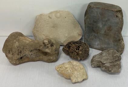 Mixed Fossil Rock Lot&mdash;6 pcs: Coprolite, Gastropod, Multiple Shell Imprints, Mineralized Specimens