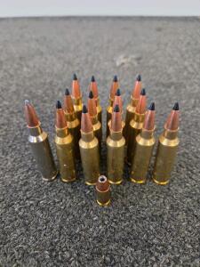 .300 WSM 165gr Polymer Tip Rifle Ammo (13 Rounds) & 9mm Luger 124gr JHP (1 Round), Brass Cases