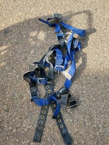 Full-Body Safety Harness, Adjustable Size, Blue/Black, Back D-Ring, Tongue Buckle Leg Straps