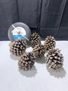Set of 6 Large Sugar Pine Cones, 10&ndash;14" Length, Steam-Cleaned for Crafts & Decor
