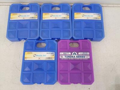 Arctic Ice Chillin&rsquo; Brew & Tundra Series XL Reusable Ice Packs, 10-Pack, Cooler & Shipping Solution