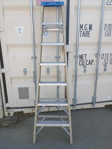 6 ft Step Ladder, 6 Steps, 300 lb Capacity, Pro-Grade, Blue Tool Tray