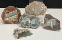 Polished And Rough Petrified Wood Specimens &ndash; 3&ndash;6" Length, Unique Patterns
