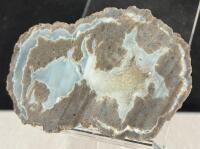 Polished And Rough Petrified Wood Specimens &ndash; 3&ndash;6" Length, Unique Patterns - 4