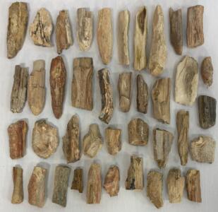 Petrified Wood (Rainbow Wood) Rough Pieces from Arizona &ndash; Approx. 40 Pieces, 20&ndash;30 lbs