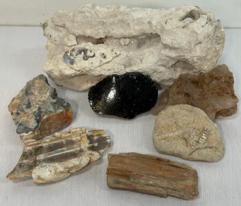 Mixed Mineral and Fossil Collection &ndash; Chalcedony, Obsidian, Petrified Wood, Fossil Matrix Lot, 4-7 lbs
