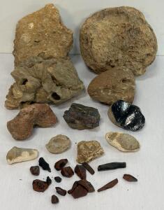 Fossil and Petrified Wood Specimen Lot &ndash; 25 Mixed Pieces, Large & Small Sizes, Obsidian Included