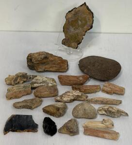Petrified Wood and Mineral Specimen Lot &ndash; 20 Pieces, Large Semi-Polished Slab, Assorted Sizes & Types