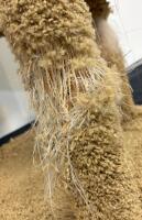 Multi-Level Beige Cat Tree with 3 Perches & Scratching Posts, 50" Tall, Heavy Wear to Lower Posts - 2