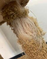 Multi-Level Beige Cat Tree with 3 Perches & Scratching Posts, 50" Tall, Heavy Wear to Lower Posts - 3
