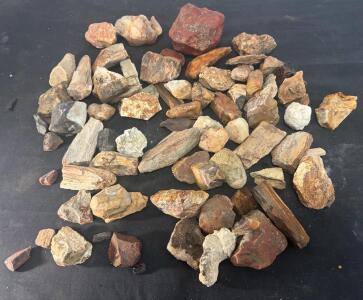 Lot of 50+ Rough Petrified Wood Pieces, Mixed Colors, 1&ndash;3 in, Lapidary & Collectors