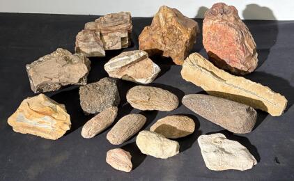Mixed Rock, Fossil, and Mineral Collection &ndash; 15 Pieces with Visible Fossil Impressions