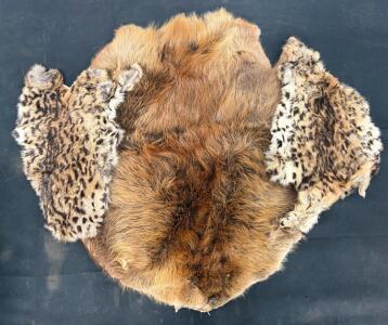 Beaver and Bobcat Fur Rug Pelt Assembly &ndash; North American Craft Grade