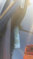 2015 FORD EXPLORER - THIRD ROW SEATING! - 41