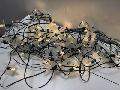 Large bundle: Commercial Outdoor C9 Christmas String Lights, 25 Clear Bulbs, Clips Included, Green Wire, Tested