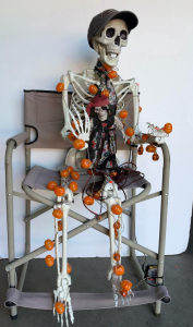 Life-Size Halloween Skeleton Decoration with Pumpkin Lights, Pirate Skeleton & Director Chair