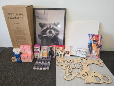 Mixed Lot: Pool Filter, Raccoon Wall Art, TY Beanie Babies, Wedding Decor, Huntrix!!!!!Dolls, Beauty Items