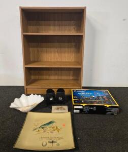 Decorative Giant Clam Shell (Tridacna Gigas), 11" x 9" x 4", 10 lbs, Small Book Shelf, Science Toy (P)
