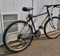 SCORPION Rigid Mountain Bike, 18-Speed, 26" Wheels, Maroon/Silver - 3