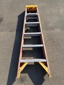 Werner 6-Foot Fiberglass Step Ladder, Type I, 250 lb Capacity