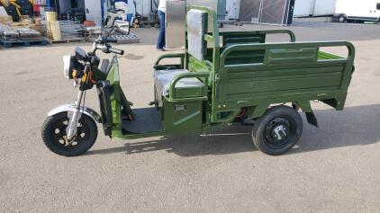 IRANCH IRET13 Electric Cargo Tricycle, 200kg Payload, 2700x960x1320mm, Green, SN: KR2020601AMAM0125