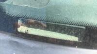 1990 FORD MUSTANG - ROLL CAGE! - 23