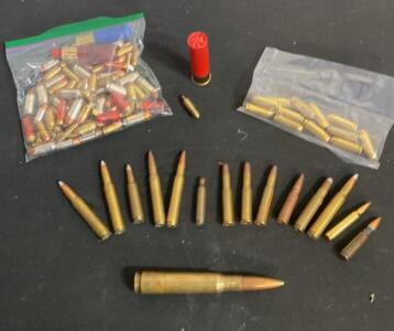 Mixed Rifle, Handgun, and Shotgun Ammunition Lot&mdash;.308/7.62 NATO, 5.56/.223, 9mm, 12 Gauge, Specialty Rounds