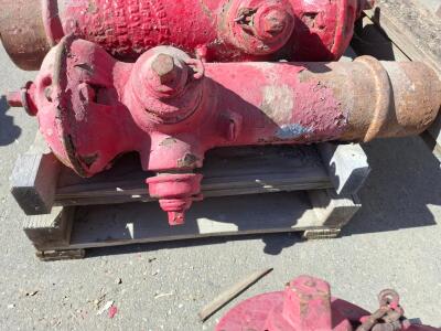 Clow Medallion Fire Hydrant, 5.25" Valve, 2x2.5" Hose Nozzles, 1x4.5" Steamer Nozzle