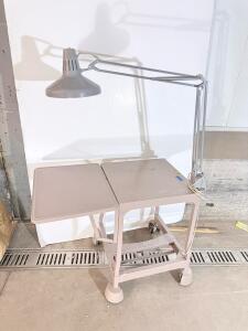 Rolling Metal Instrument Table with Drop-Leaf & Adjustable Task Lamp, Beige, 32"x18"x34"