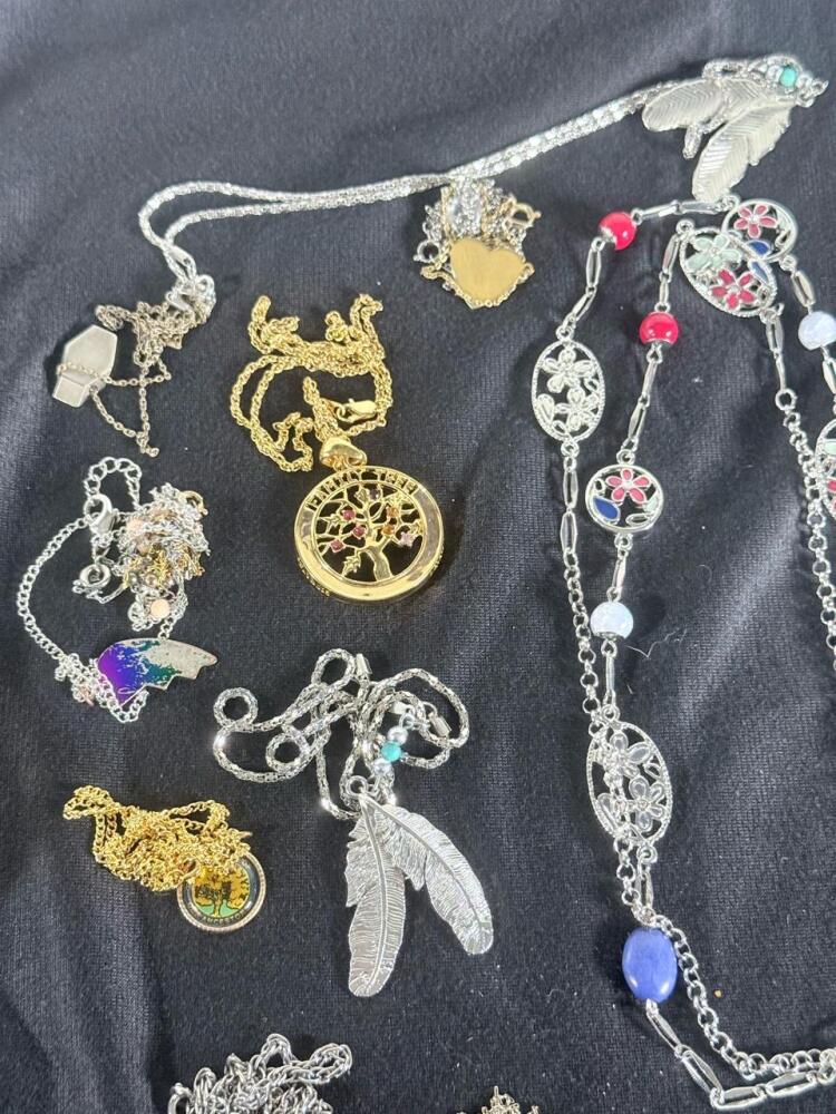 Assorted 20-Piece Mixed Necklace Lot – Tree of Life, Feather, Heart ...