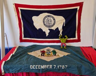 Large Wyoming & Delaware State Flags &ndash; 3x5 Ft, Nylon, Canvas Header, Dura-Lite Wyoming