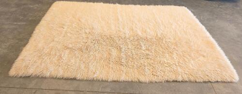 Large 6&times;9 Shag Area Rug &ndash; Beige/Ivory, Long Pile, Rectangular, Fluffy Floor Carpet