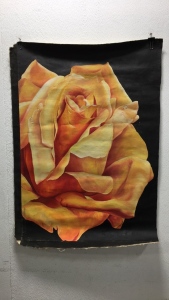 Rose Painting