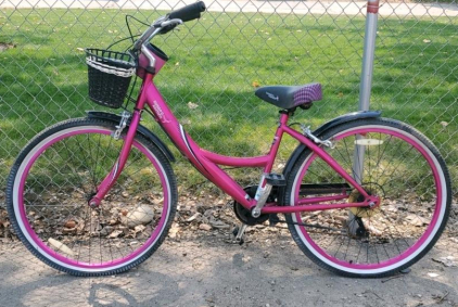 Savage Storm Girls' Cruiser Bike, 24" Wheels, Step-Through Frame, Purple, Basket & Fenders