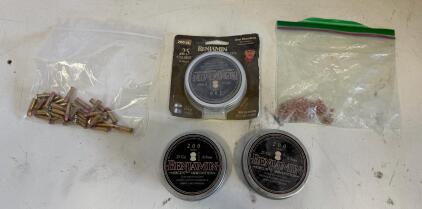 Benjamin .25 Cal Airgun Pellets, .22 LR Rimfire Cartridges, .177 Copper BBs, Mixed Lot