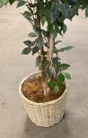 6 ft Artificial Ficus Benjamina Tree with Woven Basket, Double Trunk, Silk Leaves - 3