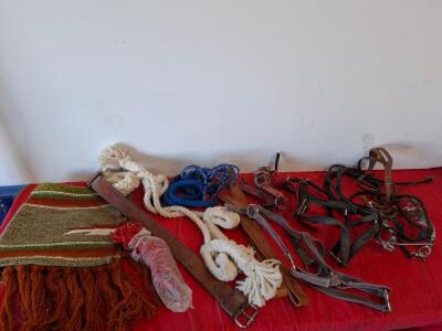 Horse Tack Lot: Rope & Nylon Halters, Western Bridle w/ Bit, Leather Straps, Saddle Blanket