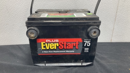 Everstart Battery